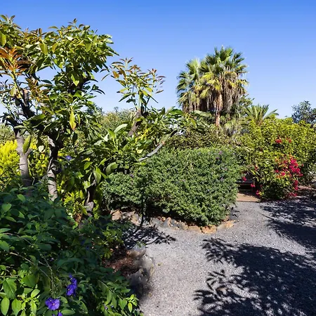 Apartment Home2book Comfy Hibiscus, Peace Retreat La Orotava