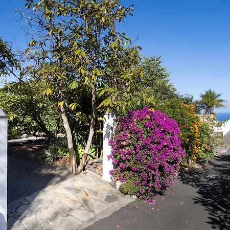 Home2book Comfy Hibiscus, Peace Retreat Apartment La Orotava